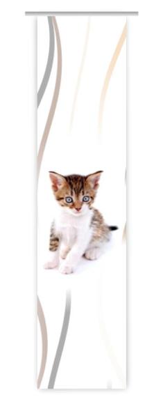 Träumli vertic Katzenbaby, Flächenvorhang Einzel